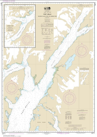 Buy map Port Wells, including College Fiord and Harriman Fiord (16711-3) by NOAA