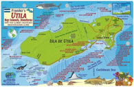 Buy map Caribbean Fish Card, Utila, Honduras 2011 by Frankos Maps Ltd.