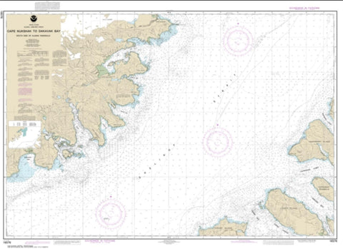 Buy map Shelikof Strait-Cape Nukshak to Dakavak Bay (16576-4) by NOAA