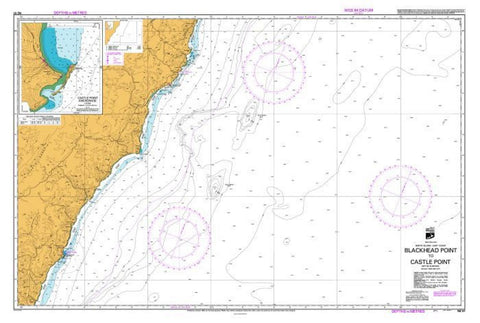 Buy map BLACKHEAD POINT TO CASTLE POINT (57) by Land Information New Zealand (LINZ)