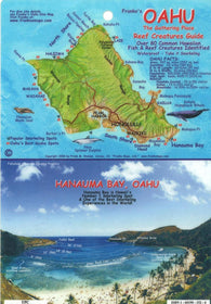 Buy map Oahu, The Gathering Place, Reef Creatures Guide by Frankos Maps Ltd.