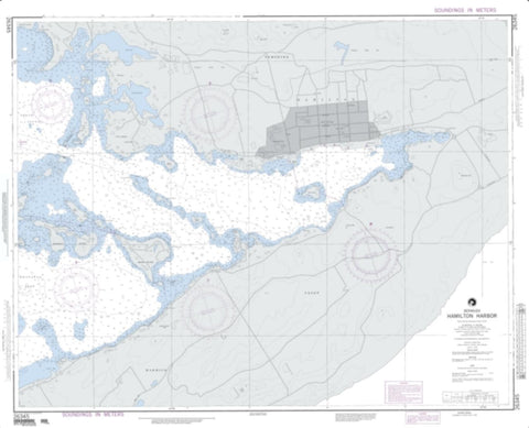 Buy map Hamilton Harbor (NGA-26345-6) by National Geospatial-Intelligence Agency