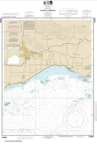 Buy map Puerto Arroyo (25689-10) by NOAA