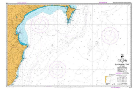 Buy map TABLE CAPE TO BLACKHEAD POINT (56) by Land Information New Zealand (LINZ)