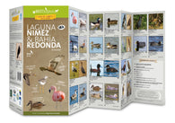Buy map Laguna Nimez & Bahia Redonda (El Calafate). : Birds