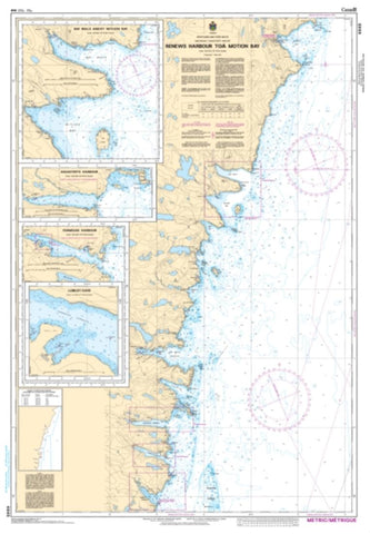 Buy map Renews Harbour to/a Motion Bay by Canadian Hydrographic Service