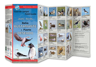 Buy map Bahía Bustamante & Puerto Deseado. : Birds