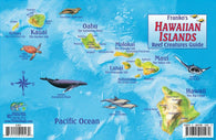 Buy map Hawaiian Islands, Reef Creatures Fish ID Card, 2012 by Frankos Maps Ltd.