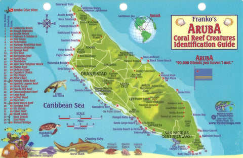 Buy map Aruba Reef Creatures Identification Guide by Frankos Maps Ltd.