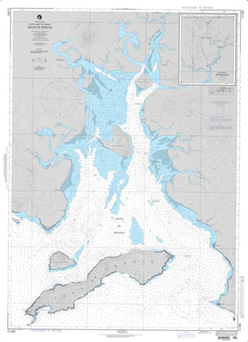 Buy map Golfo De Montijo (NGA-21582-3) by National Geospatial-Intelligence Agency