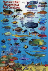 Buy map Magnificent Micronesia Reef Creatures by Frankos Maps Ltd.