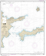Buy map Kanaga Pass and approaches (16463-8) by NOAA