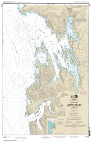 Buy map Tebenkof Bay and Port Malmesbury (17376-9) by NOAA