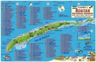 Buy map Caribbean Fish Card, Roatan