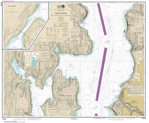 Buy map Puget Sound-Apple Cove Point to Keyport; Agate Passage (18446-18) by NOAA