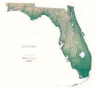 Buy map Florida, Physical, Laminated Wall Map by Raven Maps