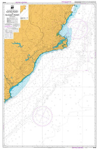 Buy map KATIKI POINT TO NUGGET POINT (66) by Land Information New Zealand (LINZ)