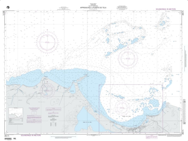 Buy map Approaches To Puerto De Tela (NGA-28171-1) by National Geospatial-Intelligence Agency