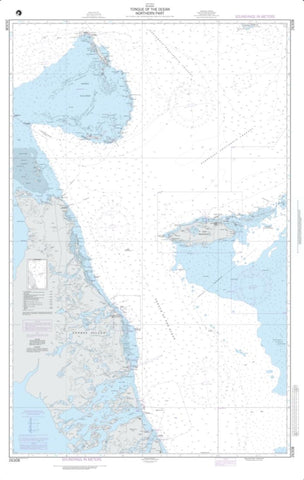 Buy map Tongue Of The Ocean - Northern Part (NGA-26308-5) by National Geospatial-Intelligence Agency