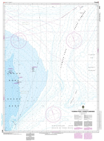 Buy map Flemish Pass/Passe Flamande by Canadian Hydrographic Service