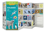Buy map Svalbard : Flora & Fauna