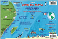 Buy map Criaturas del arrecife de la Riviera Maya : Cancun-Cozumel-Playa del Carmen = Frankos Riviera Maya : reef creatures guide