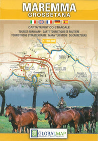 Buy map La Maremma Grossetana, Italy by Litografia Artistica Cartografica