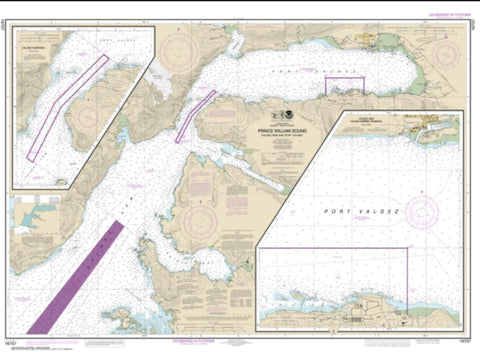 Buy map Prince William Sound-Valdez Arm and Port Valdez; Valdez Narrows; Valdez and Valdez Marine Terminal (16707-13) by NOAA