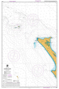 Buy map NORTH CAPE (41) by Land Information New Zealand (LINZ)