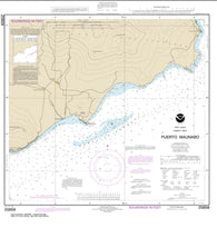 Buy map Puerto Maunabo (25659-9) by NOAA