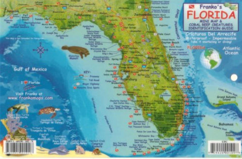 Buy map Florida Keys Fish ID Card by Frankos Maps Ltd.
