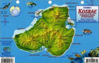 Buy map Kosrae, Federated States of Micronesia, Reef Creatures Identification Guide by Frankos Maps Ltd.