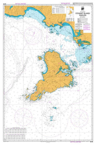 Buy map STEWART ISLAND/RAKIURA (69) by Land Information New Zealand (LINZ)