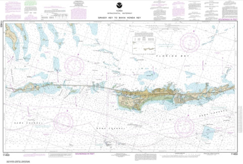 Buy map Florida Keys Grassy Key to Bahia Honda Key (11453-17) by NOAA