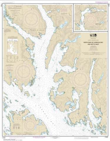 Buy map N. end of Cordova Bay and Hetta Inlet (17431-12) by NOAA