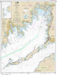 Buy map Buzzards Bay; Quicks Hole (13230-51) by NOAA