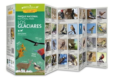 Buy map Los Glaciares Field Guide (Flora & Fauna) by 49southphoto