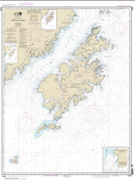 Buy map Kodiak Island; Southwest Anchorage, Chirikof Island (16580-14) by NOAA