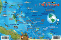 Buy map Bahamas Fish Card, Bahamas Fish Card by Frankos Maps Ltd.