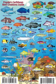 Buy map Caribbean Fish Card, Caribbean Mini Fish Card 2009 by Frankos Maps Ltd.