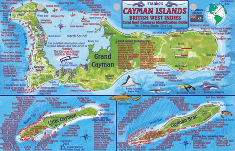 Buy map Caribbean Fish Card, Cayman Islands 2010 by Frankos Maps Ltd.