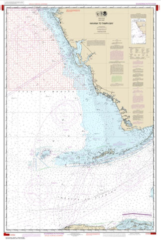 Buy map Havana to Tampa Bay (Oil and Gas Leasing Areas) (1113A-30) by NOAA