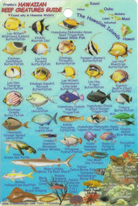 Buy map Hawaiian Islands, Reef Creatures Fish ID Mini Card by Frankos Maps Ltd.