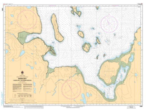 Buy map Diana Bay (Partie Sud/Southern Portion) by Canadian Hydrographic Service
